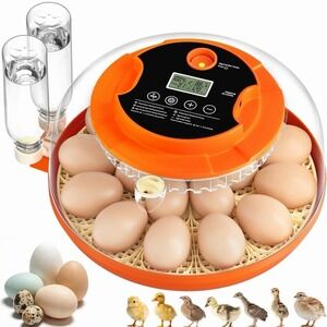 Onsju 18 Egg Incubators for Hatching Eggs, Automatic Egg Turning and Humidity...